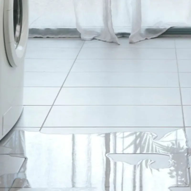 Appliance Leak Cleanup in Enfield, NC