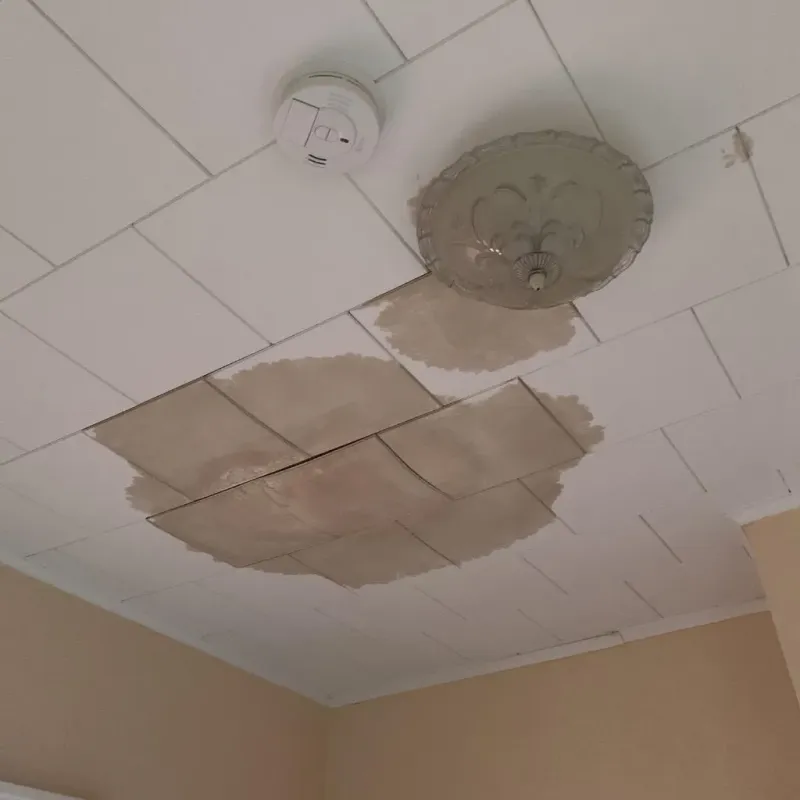 Ceiling Water Damage Repair in Enfield, NC