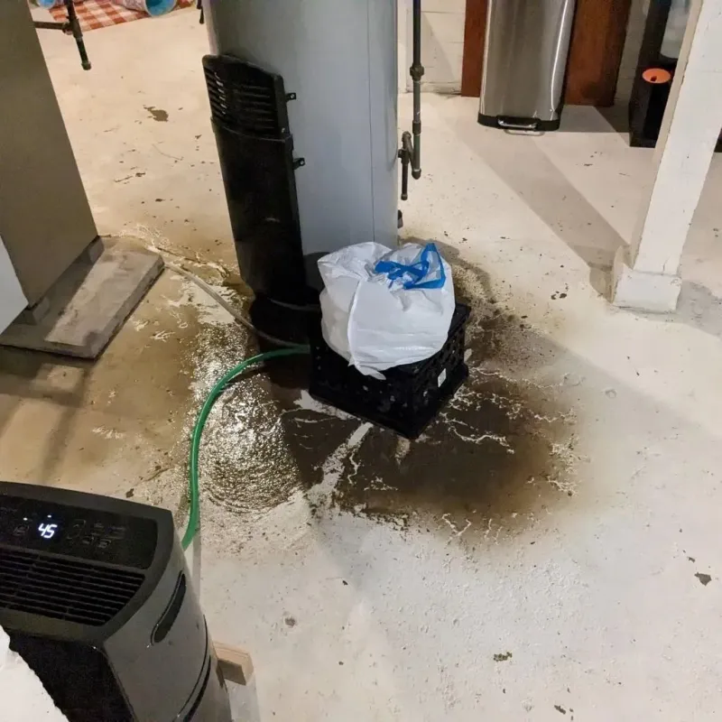 Sewage Backup Cleanup Service in Enfield, NC